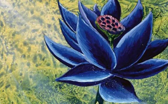 magic black lotus 540000 titel