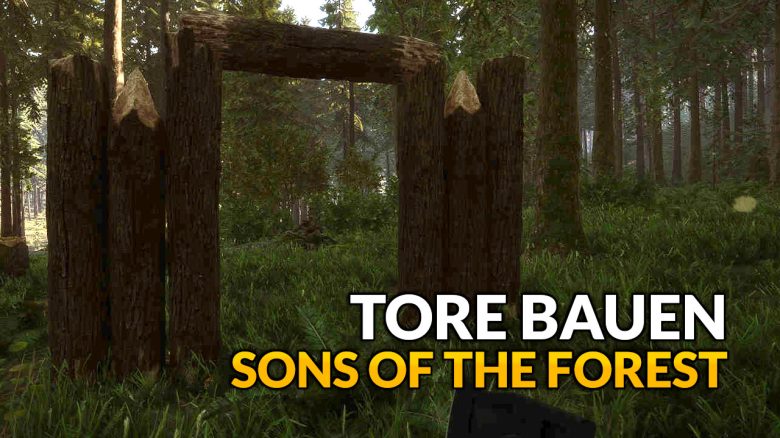 Sons of the Forest: Tore bauen – 3 Eingänge für Palisaden