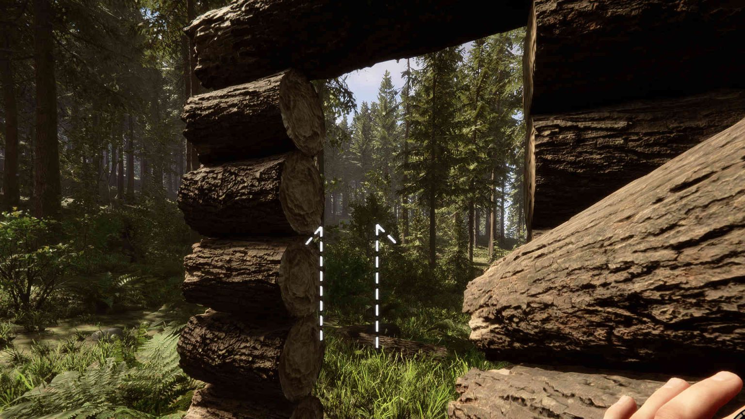 Sons Of The Forest Tor Bauen