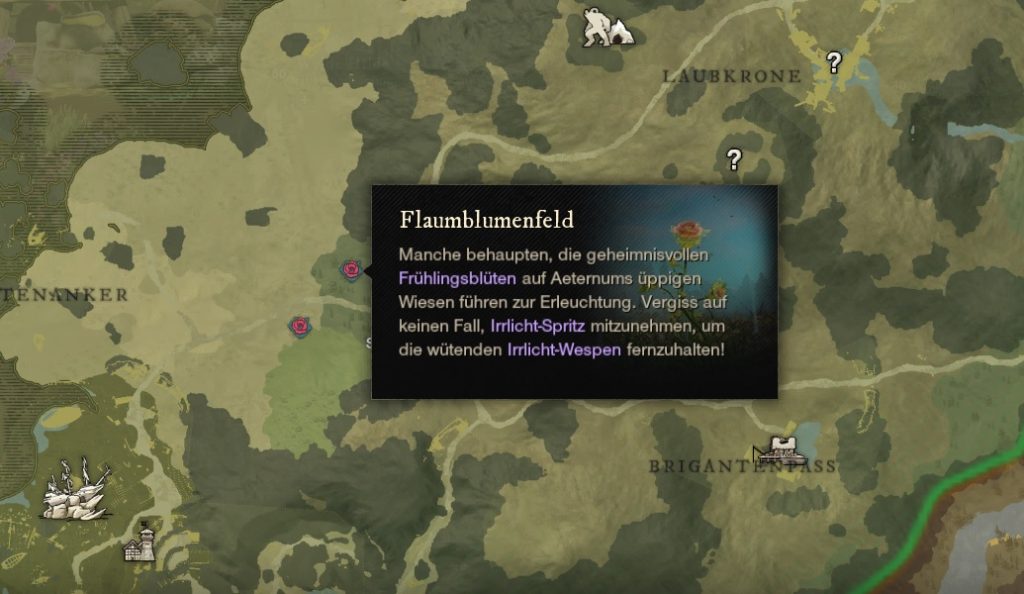 New World Flaumblumenfeld