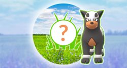 Pokémon GO: Rampenlicht-Stunde heute mit Hunduster und Sternenstaub-Bonus