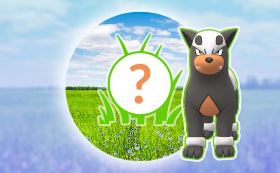 Pokémon-GO-Rampenlicht-Hunduster