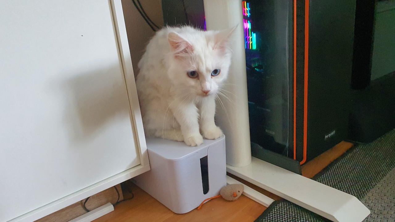 Eine Plastikbox ist mein Geheimtipp für jeden Schreibtisch – Kostet rund 20 Euro und erspart mir jede Menge Ärger