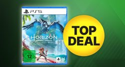 Horizon Forbidden West für PS5 im Angebot