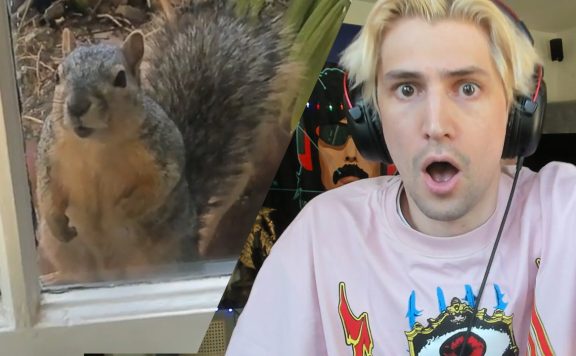 Collage aus xQc und einem Eichhörnchen