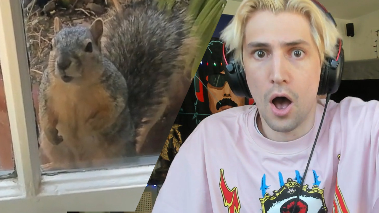 77.000 Zuschauer verfolgen auf Twitch, wie ein Streamer versucht, sich mit einem Eichhörnchen anzufreunden