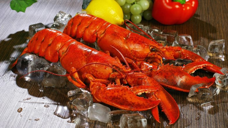 Titelbild Hummer Lobster