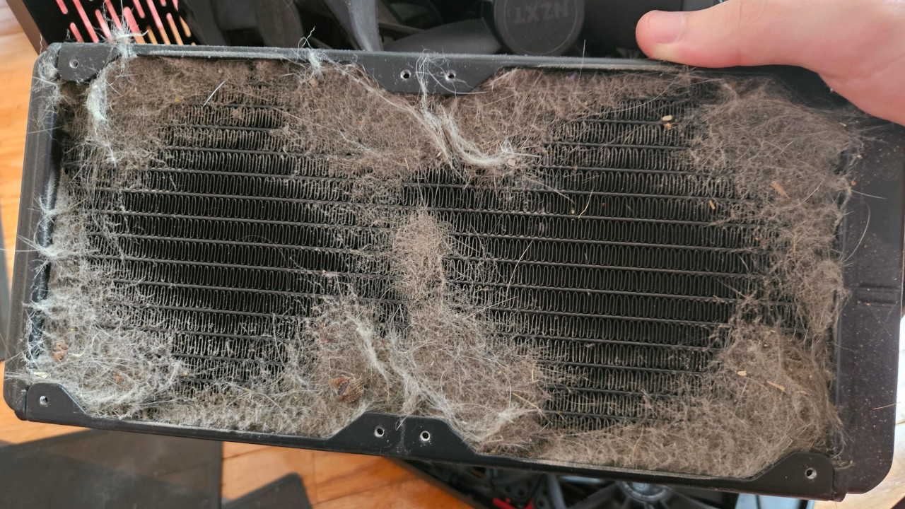 Gamer is surprised that his processor is getting very hot – when he opens his computer he is in for a nasty surprise