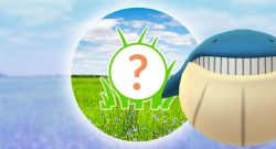 Pokémon GO Wailmer Rampenlicht Titel