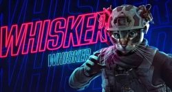 cod mw2 warzone kitty packs mit laser titel katzen