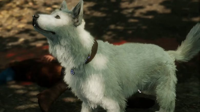 Baldur’s Gate 3: Kratzer finden – So bekommt ihr den süßesten Hund im Spiel