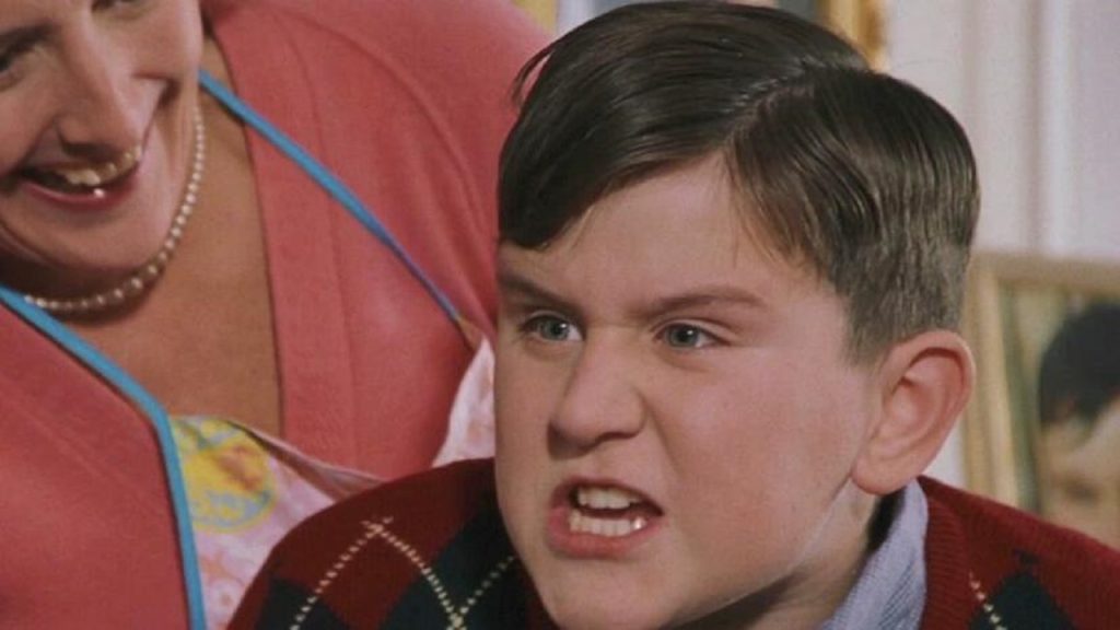 Dudley Dursley Titel HP