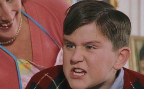 Dudley Dursley Titel HP