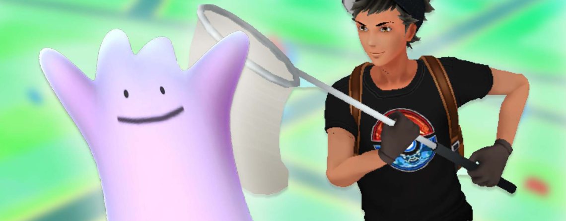 Pokémon GO: Ihr sucht Ditto? Dann achtet jetzt auch auf diese 5 Pokémon