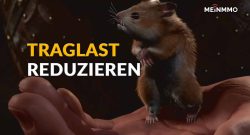 Baldur's Gate 3 Traglast reduzieren