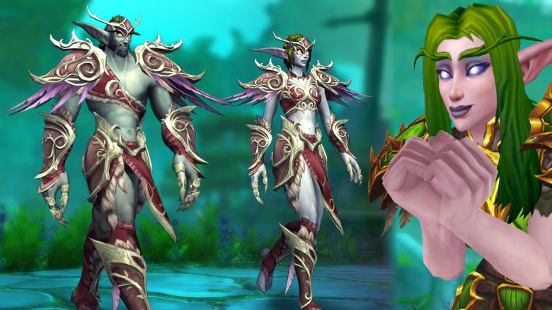 WoW: After 20 years, here is the traditional armor of the Night Elves