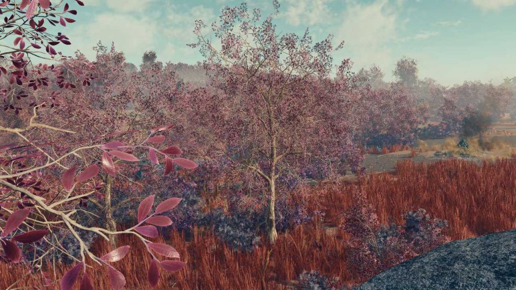 Starfield Cassiopeia I