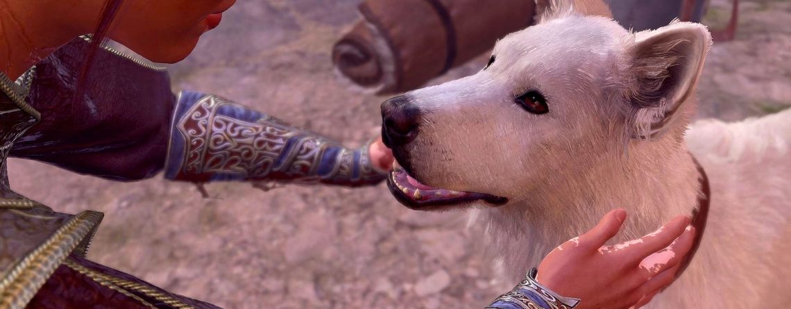 Spieler in Baldur’s Gate 3 entdeckt die „traurigsten“ und „seltensten“ Sätze im Spiel, die den süßen Hund betreffen