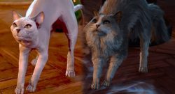 Baldur’s Gate 3: Patch 3 verwandelt majestätische Nacktkatze in Fellknäuel – Spieler fordern eine Rasur