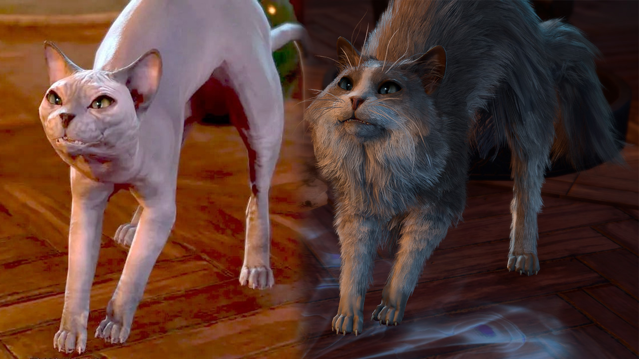 Baldur’s Gate 3: Patch 3 verwandelt majestätische Nacktkatze in Fellknäuel – Spieler fordern eine Rasur