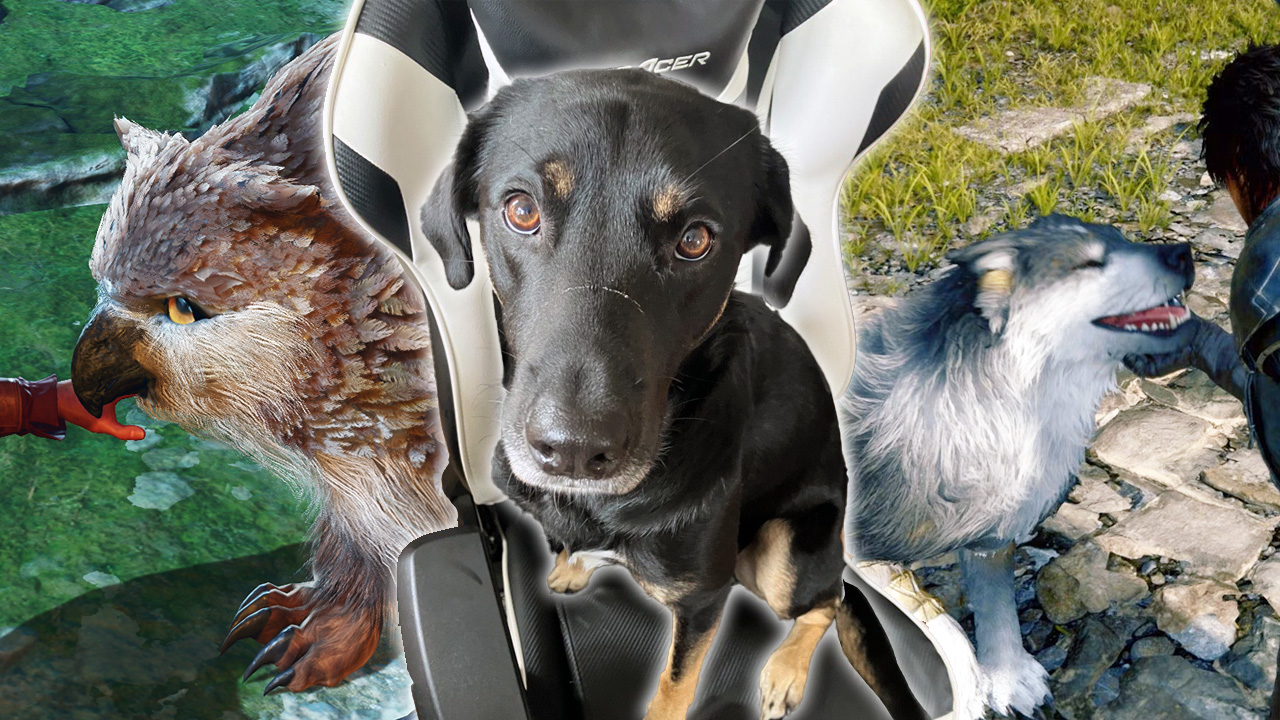 5 RPGs die ihr spielen solltet, wenn ihr Tiere streichen wollt Titelbild