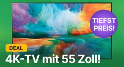 4k-smart-tv 55 zoll lg amazon angebot