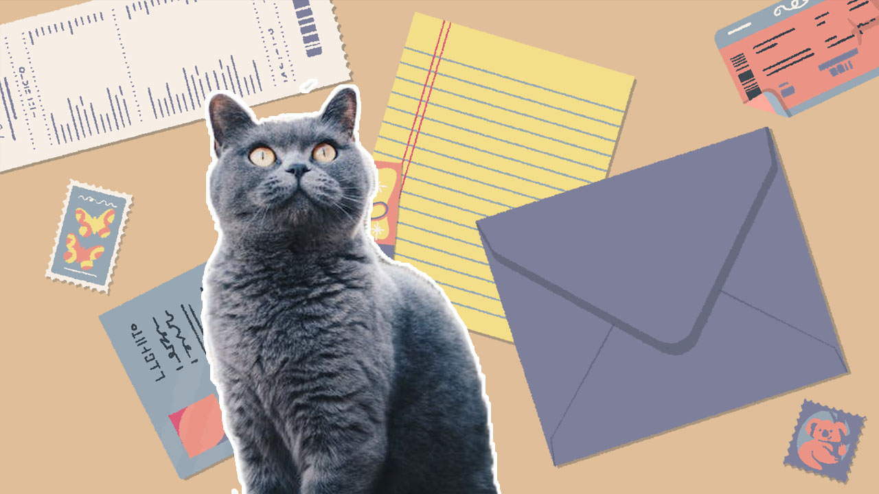 In this game you must keep order while your cat causes chaos