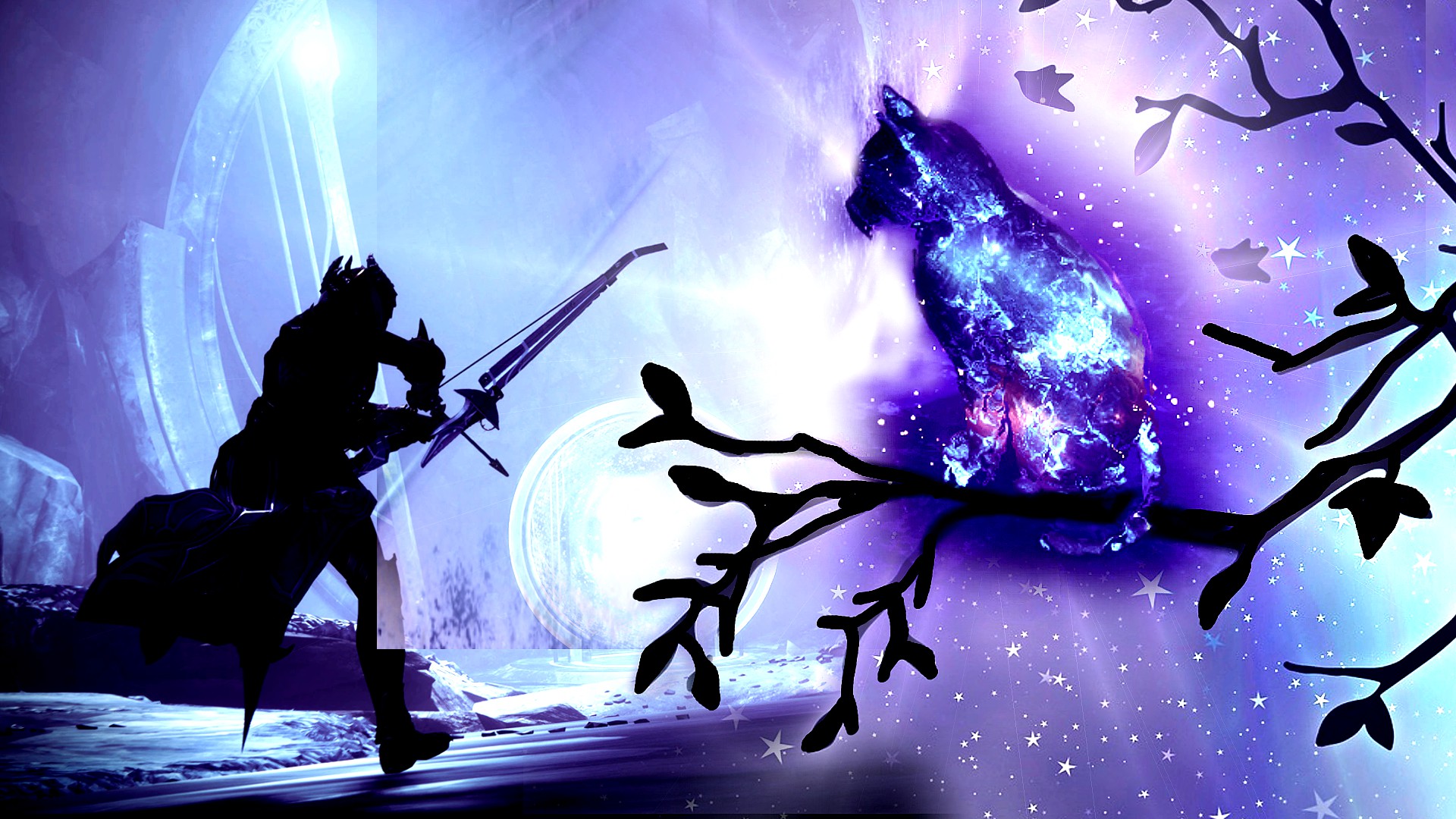 Destiny 2: Discover all 14+1 star cat locations in Season 23