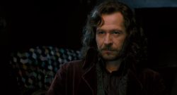 Gary Oldman als Sirius Black