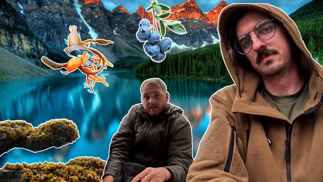 In 7 vs. Wild, the contestants fought with hunger – Now, residents explain what they could have eaten.