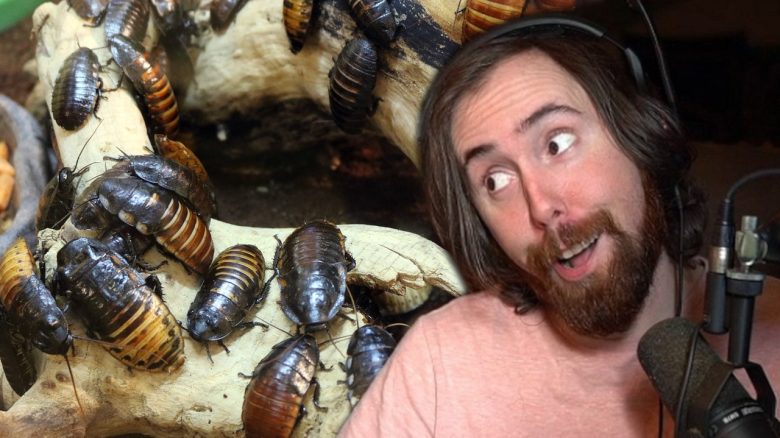 “How can you live like this?” – Millions watch as Twitch streamer Asmongold nonchalantly catches a cockroach