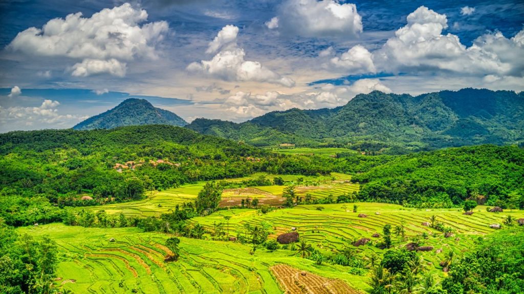 Indonesische Landschaft – Foto: Tom Fisk