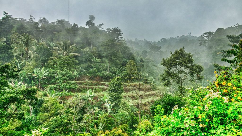 Indonesische Landschaft – Foto: Tom Fisk