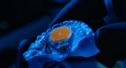 Titelbild Maus für den Mund