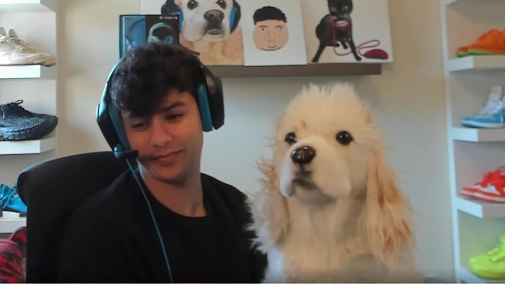 Fortnite: 21-year-old escapes long ban – Twitch allegedly mistook stuffed animal for dog