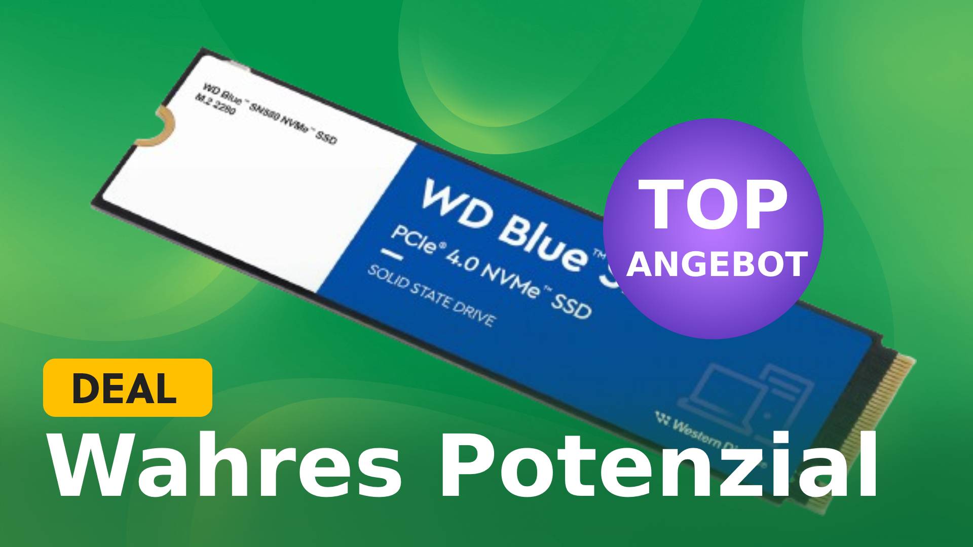 Diese SSD kostet nur knapp die Hälfte der Top-Modelle von Samsung und ist trotzdem extrem stark