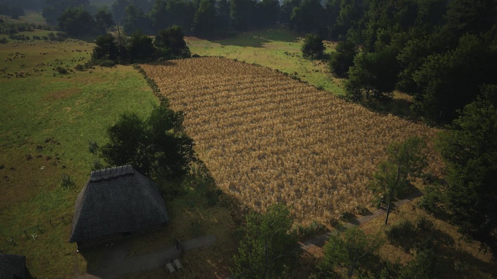 Manor-Lords-Gerste-Farm