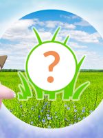 Pokémon GO: Rampenlicht-Stunde heute mit Piepi und Bonbon-Bonus