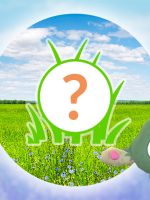 Pokémon GO: Rampenlicht-Stunde heute bringt Unratütox und EP-Bonus