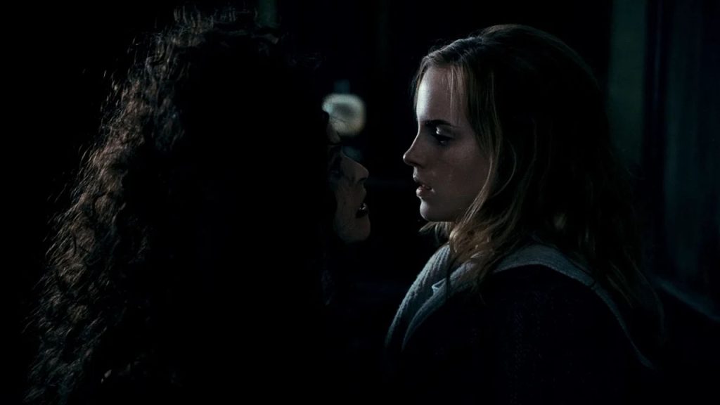 Harry Potter - Hermione and Bellatrix