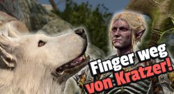 Baldur's Gate 3 Spieler überspringt Goblin Party um Hund zu helfen