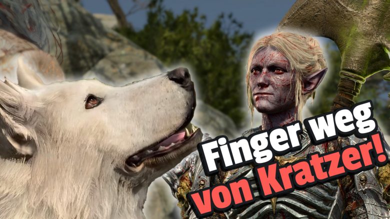 Baldur’s Gate 3: A player would do anything for the hot dark elf – He draws the red line at animals