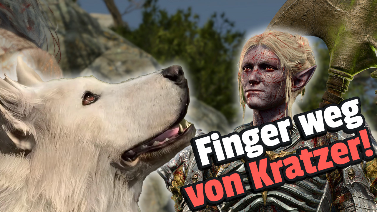 Baldur’s Gate 3: A player would do anything for the hot dark elf – He draws the red line at animals