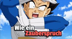 Dragon Ball Vegeta Titel