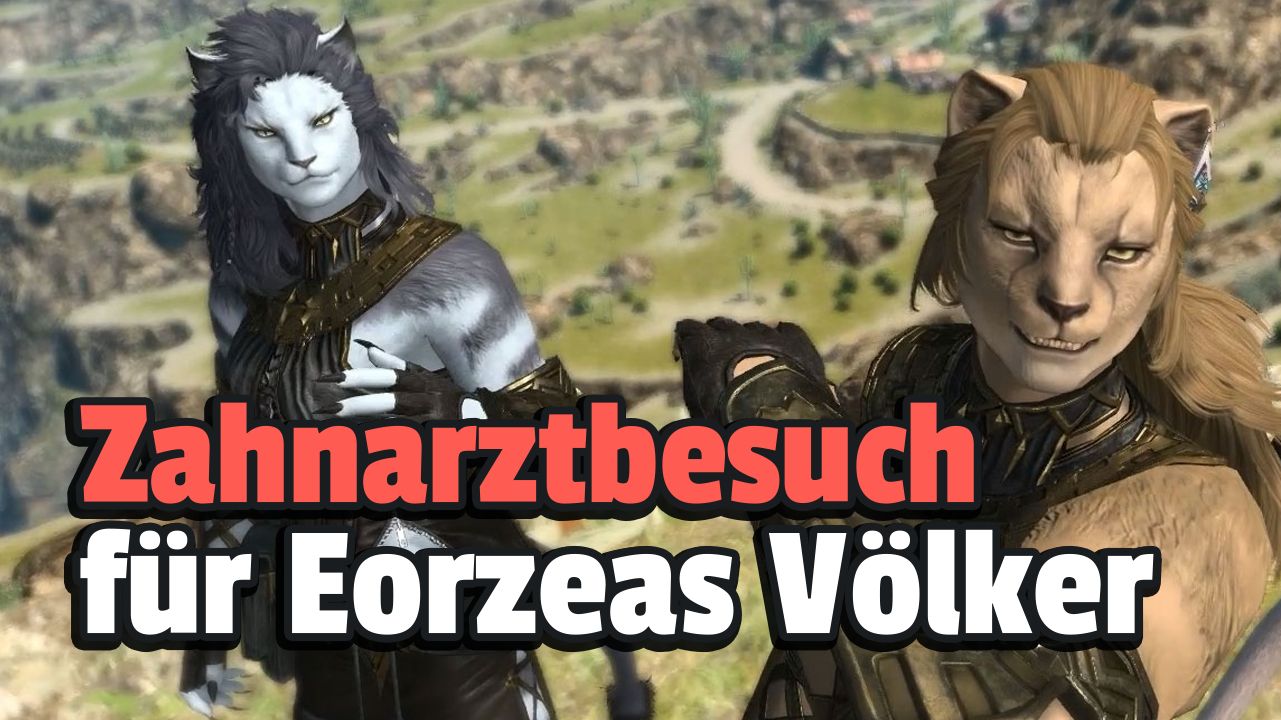 Benchmark update, DDoS attacks, Dawntrail – all information from the producer’s letter part 81