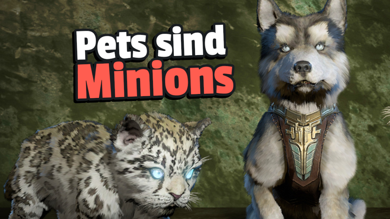 In Diablo 4 there are now cute pets that follow you around – But one class should not use them right now