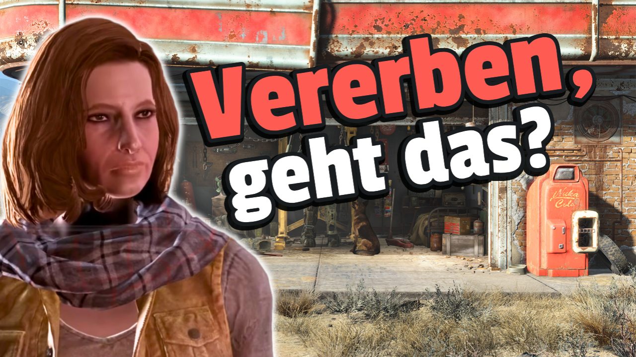 A player wants to know from a Steam competitor if he can inherit his many games – they answer