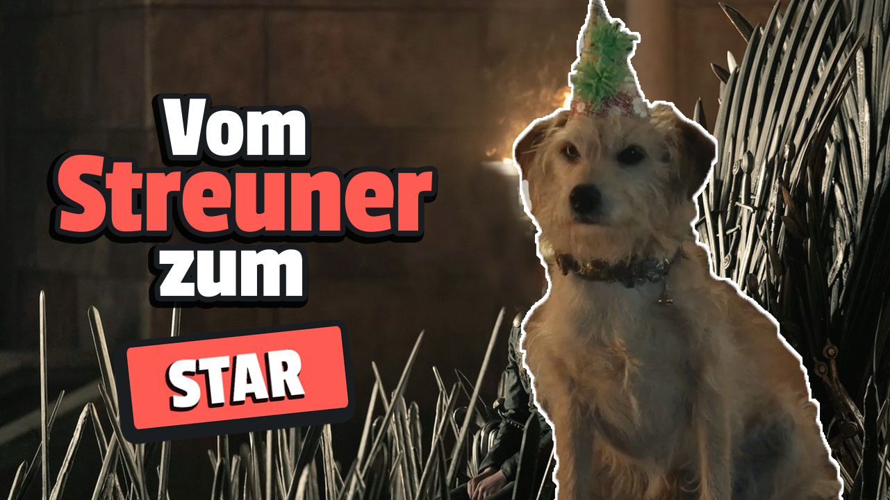 Der süße Vierbeiner aus House of the Dragon wurde ausgerechnet durch den Disney-Bösewicht bekannt, der Hunde hasst