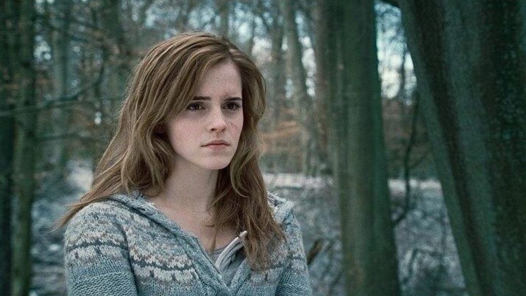 Harry Potter: Hermine Granger