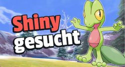 Pokémon: Trainer hat unfassbares Glück mit gleich 2 Shinys, doch vermasselt alles binnen einer Sekunde - Titelbild zeigt Geckarbor neben Text: „Shiny gesucht“